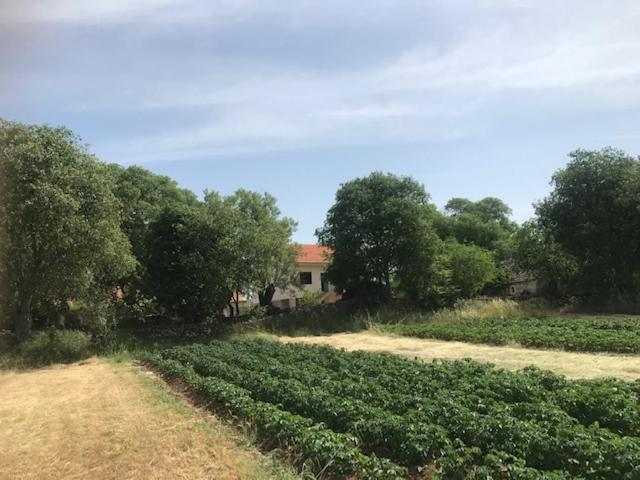 Family Friendly Holiday Home "Ana" Sibenik Luaran gambar
